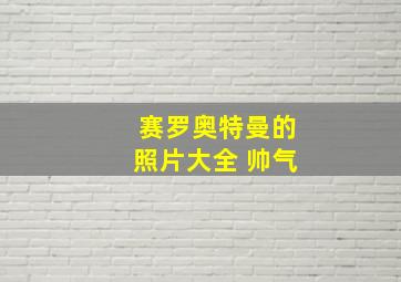 赛罗奥特曼的照片大全 帅气